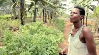 Sustainable development partnership