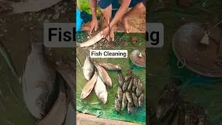 Amazing fish cleaning and cutting #shorts #viralvideo #dailyvlog #fish #funny #song #reels #trending
