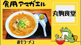 秋田県大仙市刈和野‼️【丸駒食堂】お寿司屋さんと食堂のコラボ‼️お店イチオシの『みそラーメン』と『納豆巻き』を食す‼️