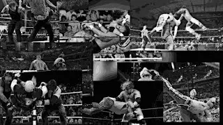 All time best tag team moves in Wwe in Wrestling Revolution 3d 
