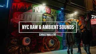 NYC Raw - Lumix S1ii - Arri Log C3 - Сочельник