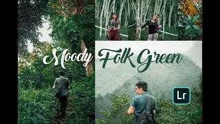 Учебное пособие по Lightroom Mobile CC | Moody Folk Green
