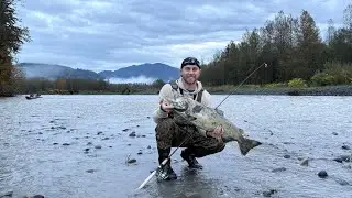 FISHING THE SALMON RUN (NORTH FORK NOOKSACK RIVER / WE STOPPED BY THE HATCHERY)