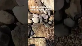 Intake bay pond filter with stepping stones