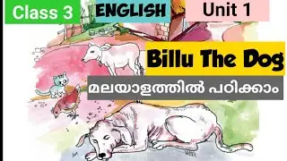 Class 3 English Billu the dog in Malayalam unit-1 std 3rd chapter 1 Kerala state syllabus easy