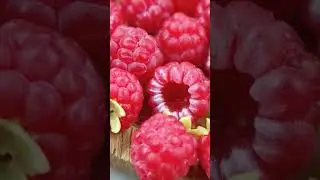 Малина из полимерной глины. Внутри текстура от плодоножки. Покрыта небольшой пыльцой, как настоящая.