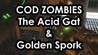 Black Ops 2: How to get the AcidGat and Golden Spork