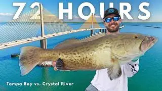 72 Hours in Florida's Top 2 Grouper Spots (Tampa Bay & Crystal River)