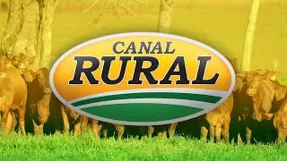 CANAL RURAL EN VIVO