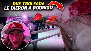No te pierdas esta divertida gu3rra de nieve en la pista de patinaje con la Plaga