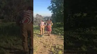 EL LOL SIN FRENO  #trending #comedy #schorts #viralvideo #youtubeshorts #love #funny #comedia #fyp