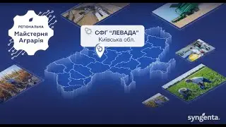 Демо-поле ТОВ &laquo;Сингента&raquo; у СФГ &laquo;Левада&raquo; стан культур на 12.09.2025
