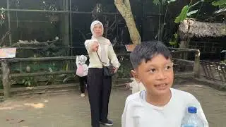 Holiday season, pergi ke tempat hewan! 