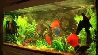 Rio 400   26 09 2012   HD 1080p 3eme Partie