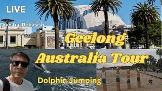 Geelong Australia Tour | Live Dolphin Jumping | Things to do in Geelong | #waterfront | #ArtGallery
