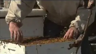 Kentucky Farm Bureau's Bluegrass & Backroads: Stone Hill Honey