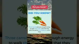 Three Carrots