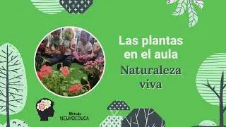 NeuroEduca. Las plantas en el aula