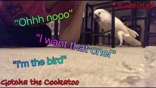 LOL | 
