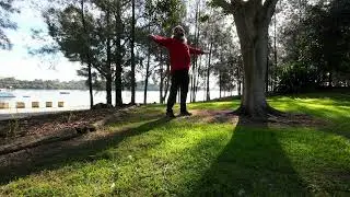 Dragon Fire Qigong Wood Element Tree of Life #short