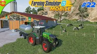 Planting & Harvesting Sunflower, Selling Milk | Farming Simulator 23 Amberstone #22
