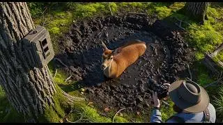 Wildlife is watching you  | EPISODE 2