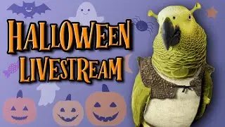 Happy Halloween! - October Member/Parton