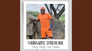 Vasingazive Zvishavane