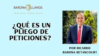 ¿QUÉ ES UN PLIEGO DE PETICIONES?