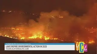 How New Environmental Laws Can Help Prevent Future Wildfires