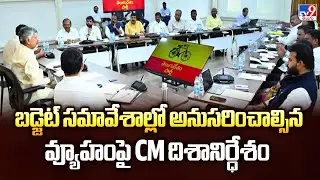 బడ్జెట్ సమావేశాల్లో అనుసరించాల్సిన వ్యూహంపై CM దిశానిర్ధేశం  | CM Chandrababu | Five @ 5 - TV9
