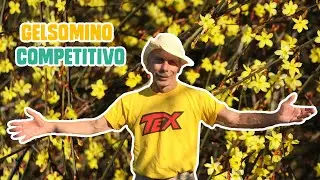 GIOVA LOVES NATURE 🌳 - Ep.23 - Il GELSOMINO competitivo