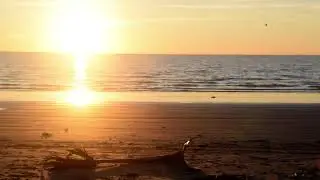 Gulf Waves & Sunrise Over the Gulf | 2 Minutes of Calm
