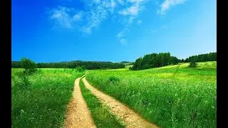 Best Healer In This World NATURE