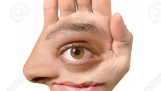 ZUA MAYELE VOISIN SINON TE KINDOKI ELATI ELAMBA