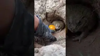 Survival Skills: SMART idea and USEFULL 😭 #toys #funny