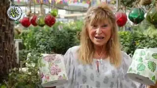 Happy Customer at Dubai Garden Centre