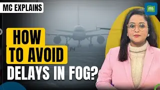 Flying During Fog Season? 🌫️✈️ Tips To Prevent Delays And Cancellations | MC Explains
