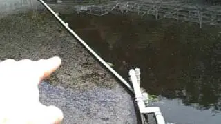 Wastewater clarifier skimmer