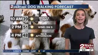 Saturday Morning Forecast