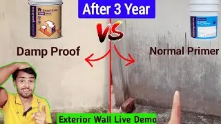 Damp Proof Vs Normal Wall Primer | Damp Wall Treatment