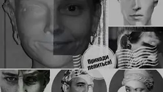 Трейлер программы 