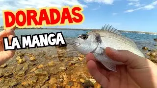 ЛОВЛЯ DORADAS  НА LA MANGA.  РИБАЛКА В ІСПАНІЇ НА ДОРАДУ