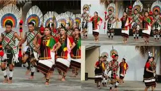 Lui Ngai Ni  Festival