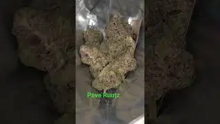 Vasco - pave Runtz
