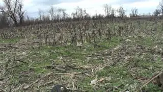 Kentucky Dirt Fishing #36 Relics in Kentucky