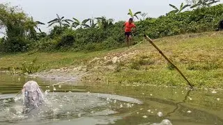 Catching Big Catfish By Traditional Fishing System! Amazing Hook Fish Trap!