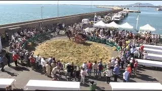 Fem una ullada: Festa de la Sega de l'Ampolla