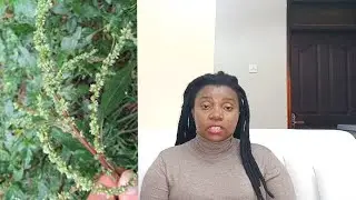 EDDAGALA ELIWONYA ETTALO , OBUSUKKO, EBIGENGE ,OBUYUTE