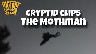 Человек-мотылёк &mdash; это НЛО | Cryptid Clips